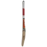 Nelco Maxximuss English Willow Cricket Bat